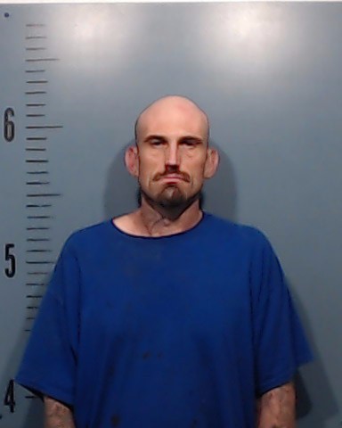 Link, Robby Lee booking photo