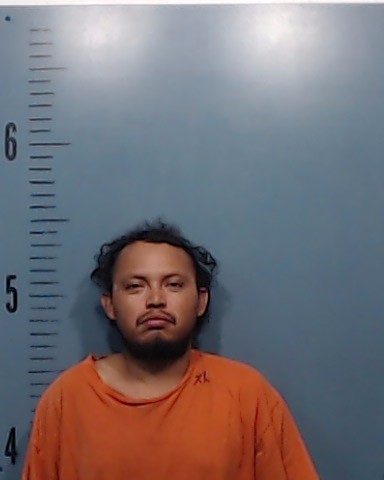Acuna-Najares, Ronald booking photo