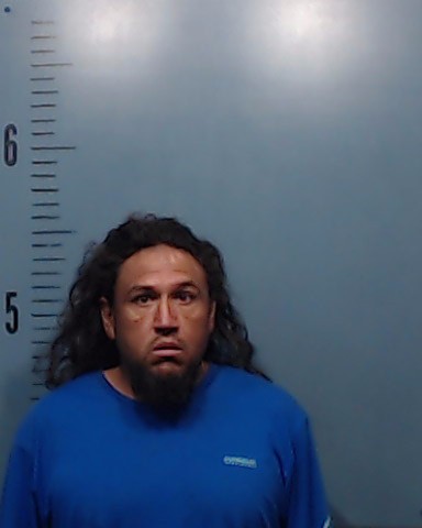 Bermejo, Jesus Armando E booking photo