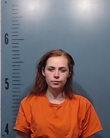 Dickson, Fabrianna Diane booking photo