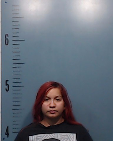 Peralez, Raquel arrested by Taylor County SO/PD