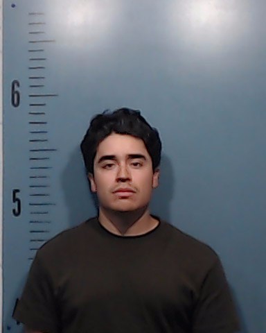 Maza-Paz, Luis Fernando booking photo