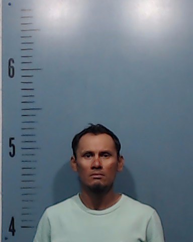 Hernandez-Perez, Javier booking photo