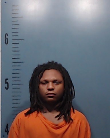 McBride, Terrian Anthony Wayne booking photo