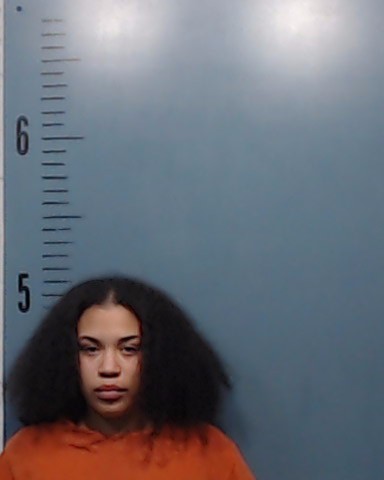 Sanchez, Aaliyah Acire arrested by Taylor County SO/PD