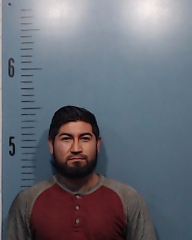 Sanchez-Perez, Manuel Alejandro booking photo