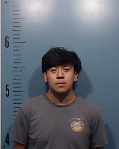 Deanda Jacal, Mario Andres booking photo