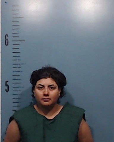 Cerna, Araceli Marie booking photo