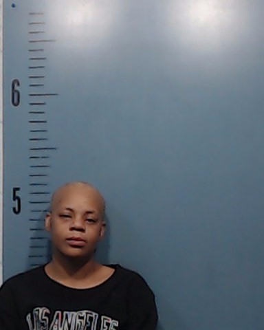 Cummings, Janee L arrested by Taylor County SO/PD