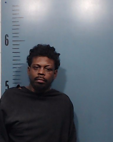 Johnson, Danielle Lamonte booking photo