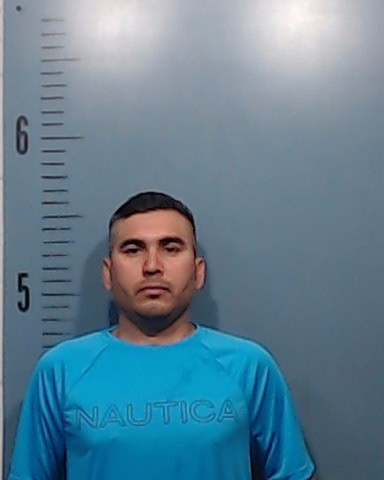 Pineda Gomez, Jesus booking photo