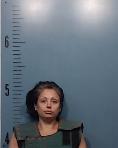 Ordaz, Erica booking photo