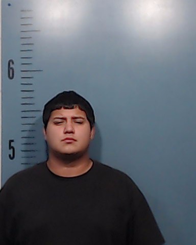 Raya, John Daniel booking photo