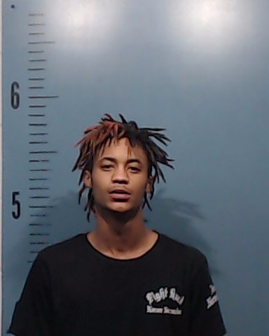 Powell, Brandon Carl, Jr. booking photo