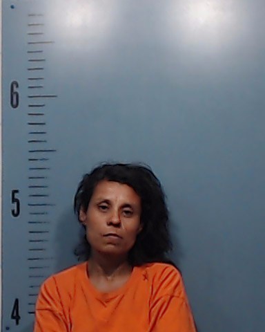 Donaghey, Felisita Villegas booking photo