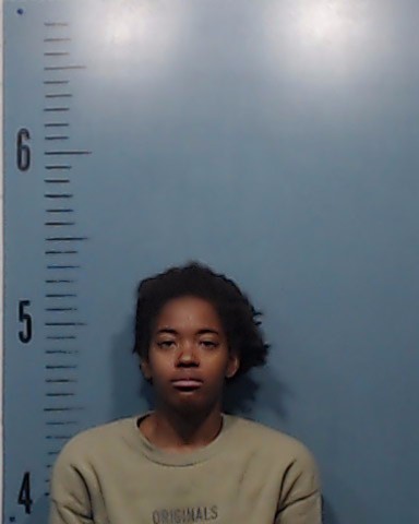 Brown, Tierra Nikkei booking photo