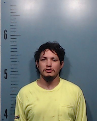 Rios, Andie booking photo