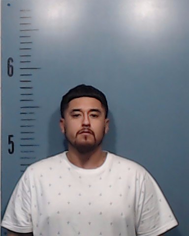 TAMEZ, PEDRO, III booking photo