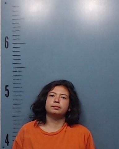 Chavez, Erica Daniela booking photo