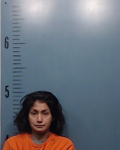 Ortiz, Dominique Aliyah booking photo
