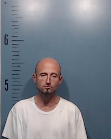 Towler, Jamie Lee booking photo