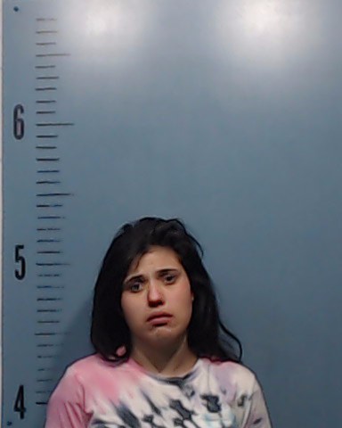 Ybarra, Kaylie Champaigne booking photo