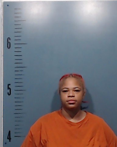 Gant, Mariah Nichole booking photo