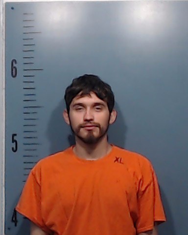 De Leon Guardado, Samuel Anton booking photo