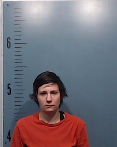 Creadick, Briann Nicole arrested by Taylor County SO/PD