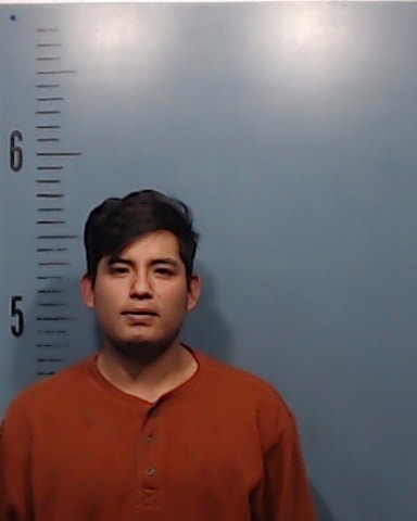 Galicia-Mendoza, Jonathan Antonio booking photo