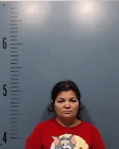 Rosa-Navas, Dania Cecilia booking photo