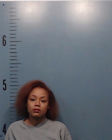 Smotherman, Tralajah Ida Mae Lupraaee arrested by Taylor County SO/PD