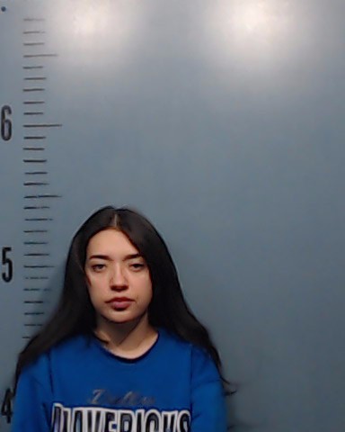Chavira, Sabrina Nicole booking photo