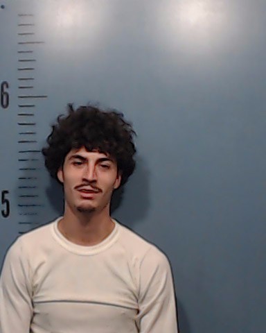 Ramon, Daniel Jesus Frankie booking photo