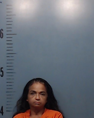 Sanchez, Gracielita Garcia booking photo