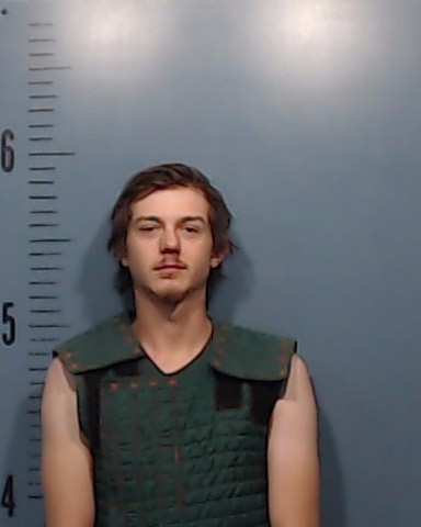 Collins, Taryn Daniel booking photo