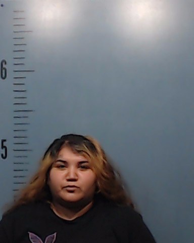 Guerrero, Cynthia Marie booking photo