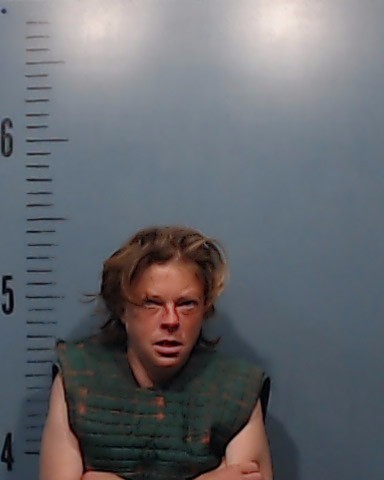Reavey, Ashley Nicole booking photo