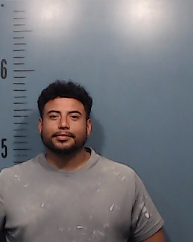 Dena, Samuel Joseph booking photo