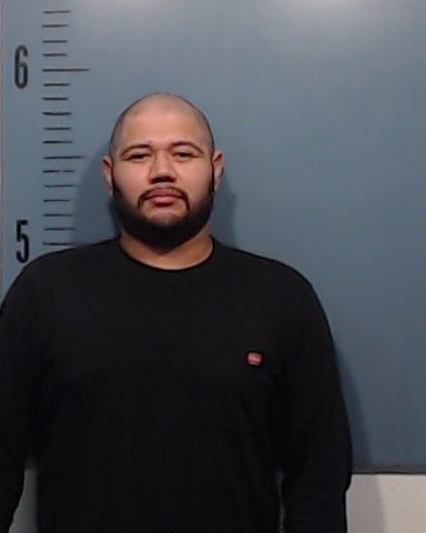 Sanchez, Pedro Antonio booking photo