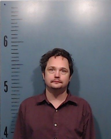 ELLIS, ZACHARY KYLE arrested by Taylor County SO/PD