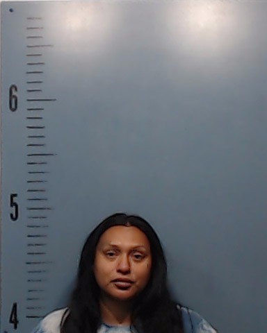 Gaona, Maria Guadalupe booking photo