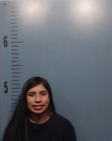Carrion, Julissa Miquela booking photo