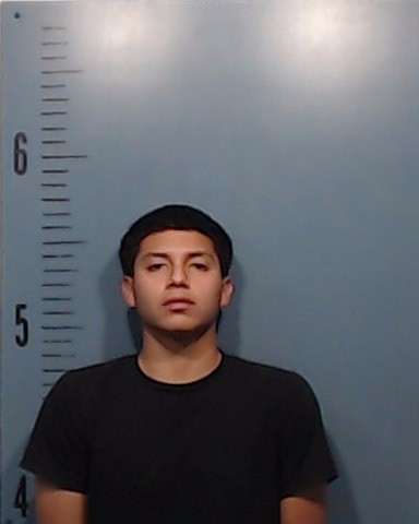 Chavez, Brandon Xavier booking photo