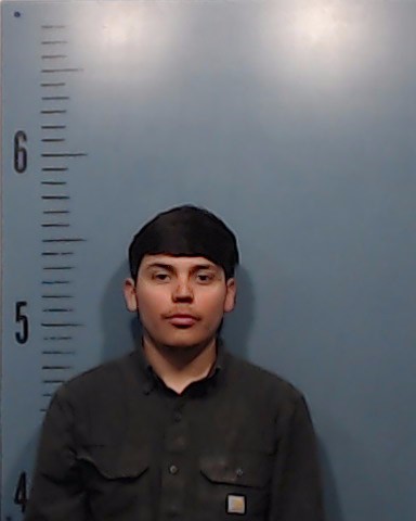 Amaro, Luis Alberto booking photo