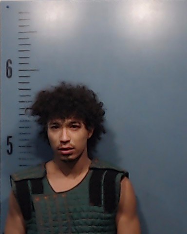 Paredes-Salazar, Josue Israel booking photo