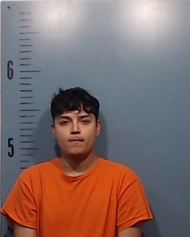 Lozano, Leonard Levi booking photo