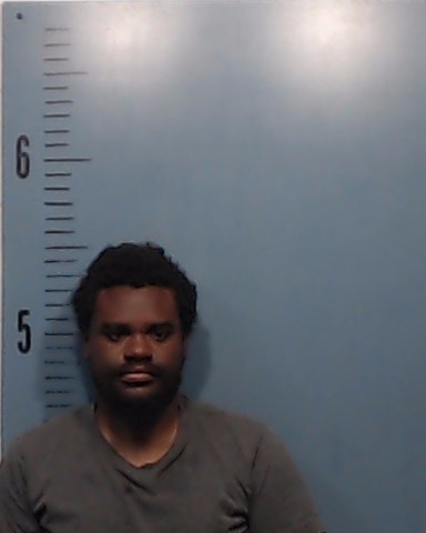 Kirvin, Mark booking photo