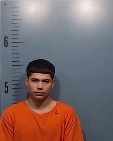 Andrade, Michael Lee booking photo