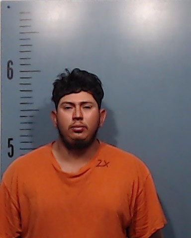 Gonzalez-Najarro, Herson Daniel arrested by Taylor County SO/PD